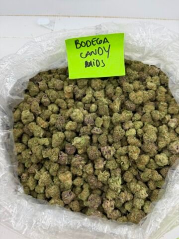 BODEGA CANDY MID