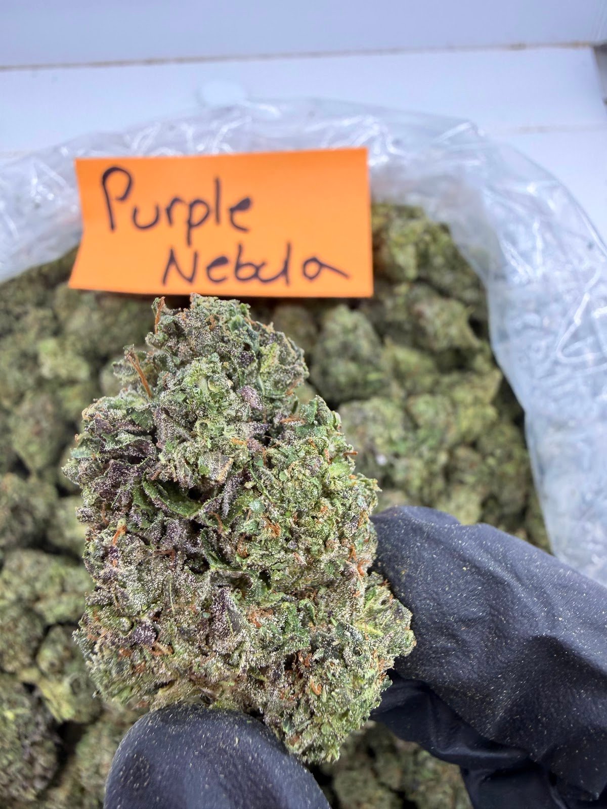 PURPLE NEBULA