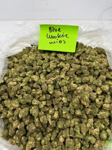 BLUE WOOKIE MID