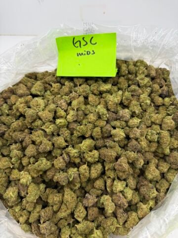 GSC MID