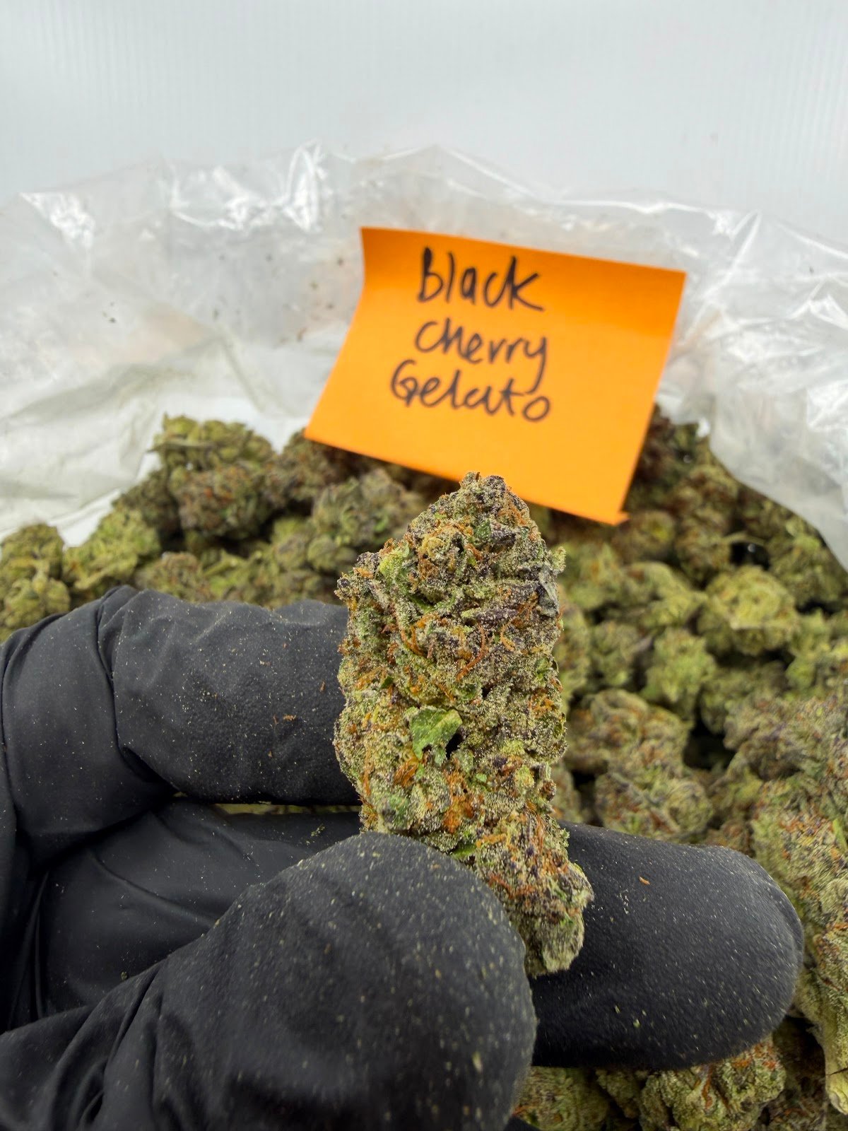 BLACK CHERRY GELATO