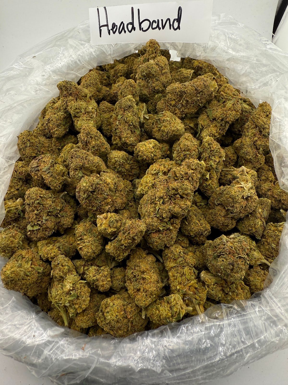 HEADBAND