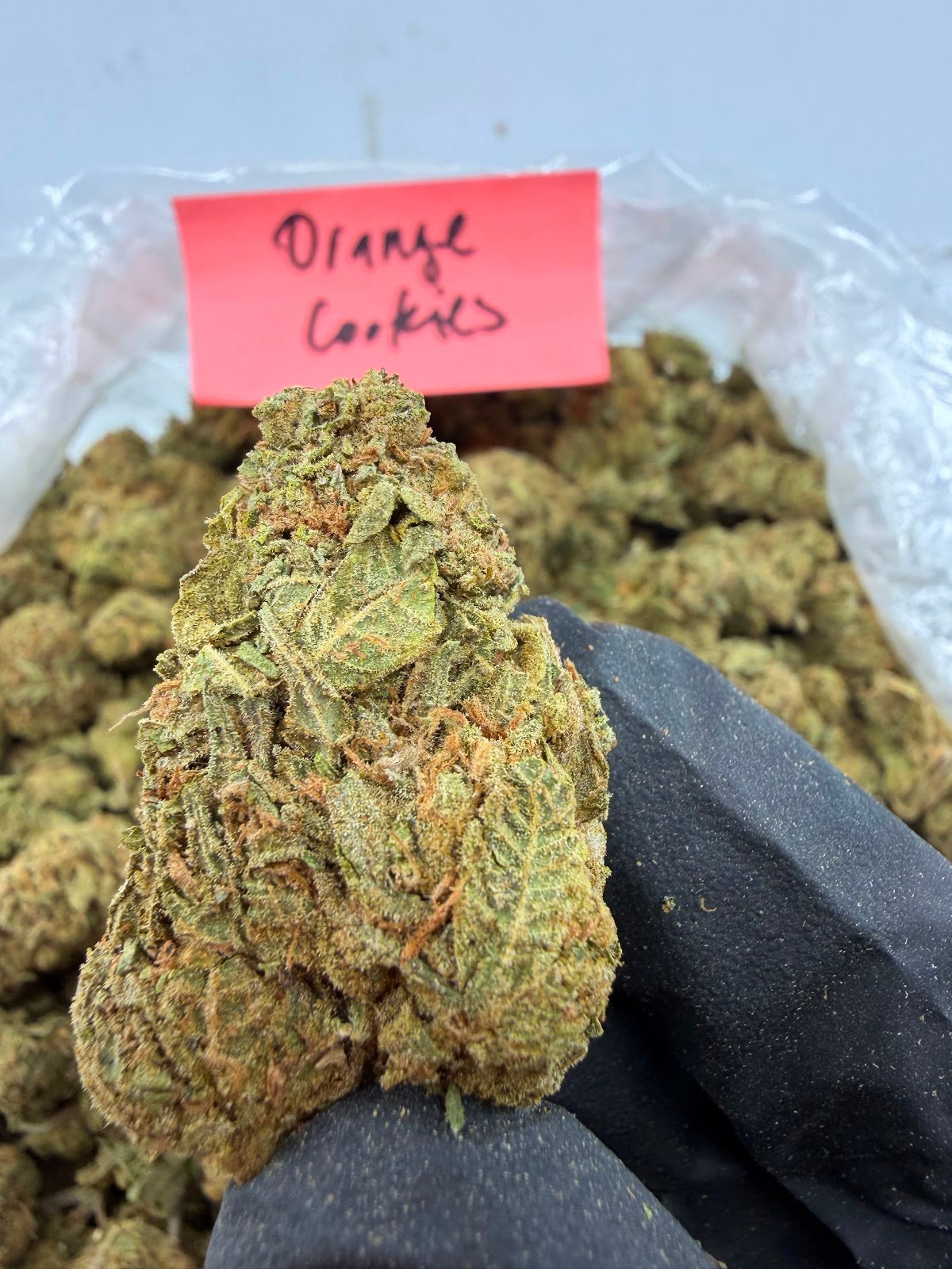 ORANGE COOKIES