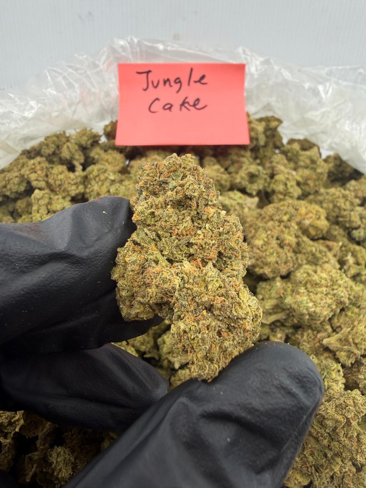 JUNGLE CAKE