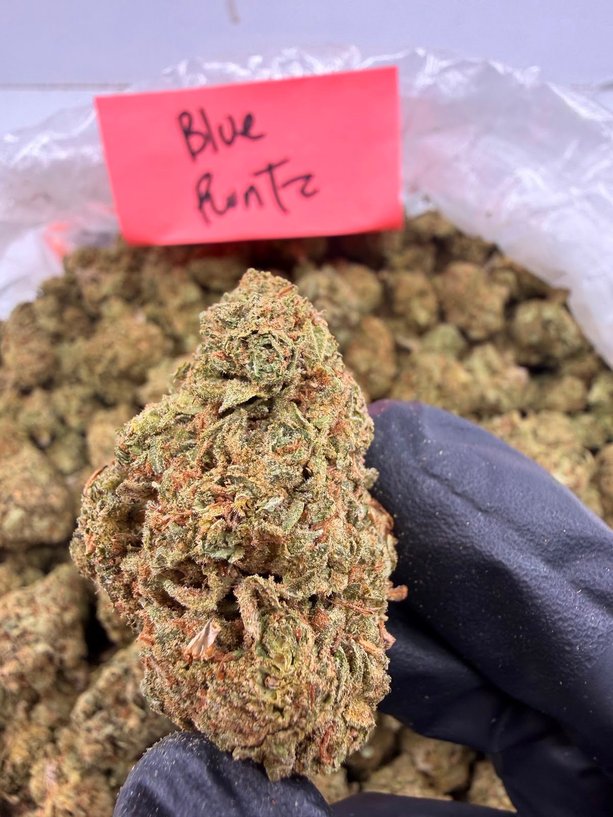BLUE RUNTZ