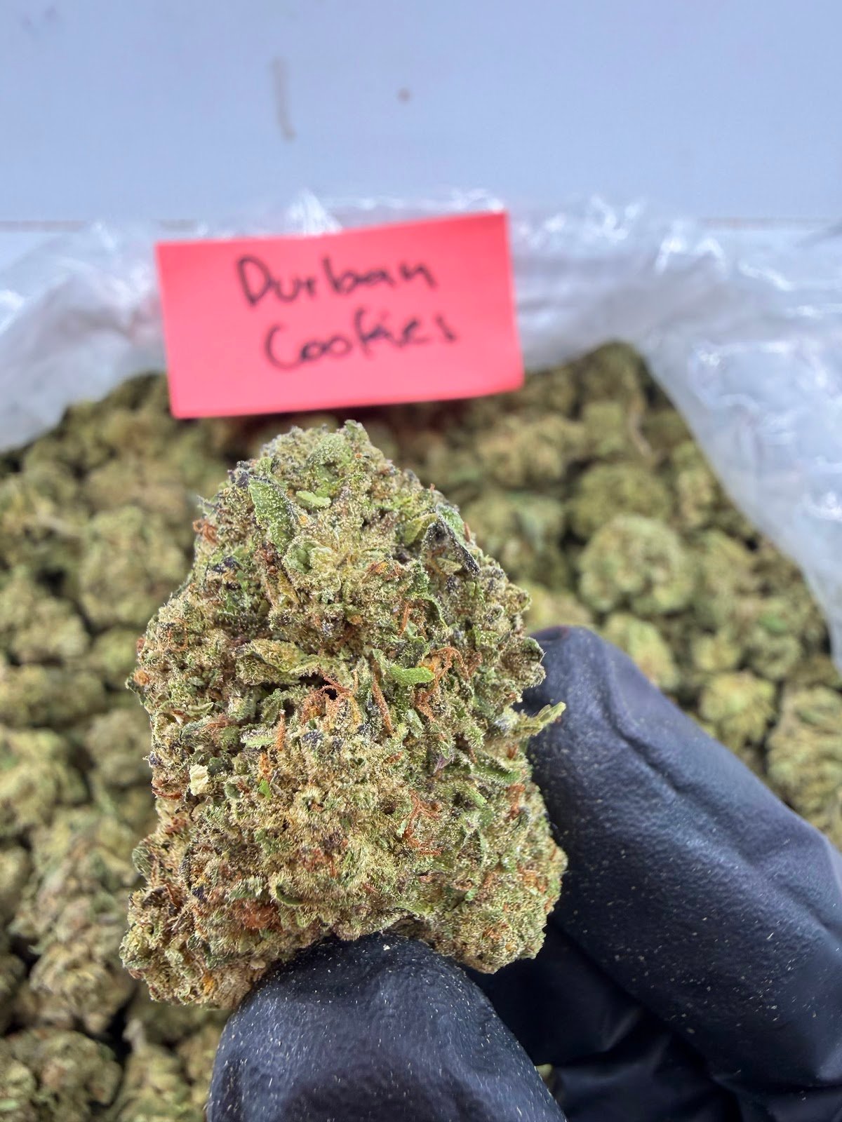 DURBAN COOKIES