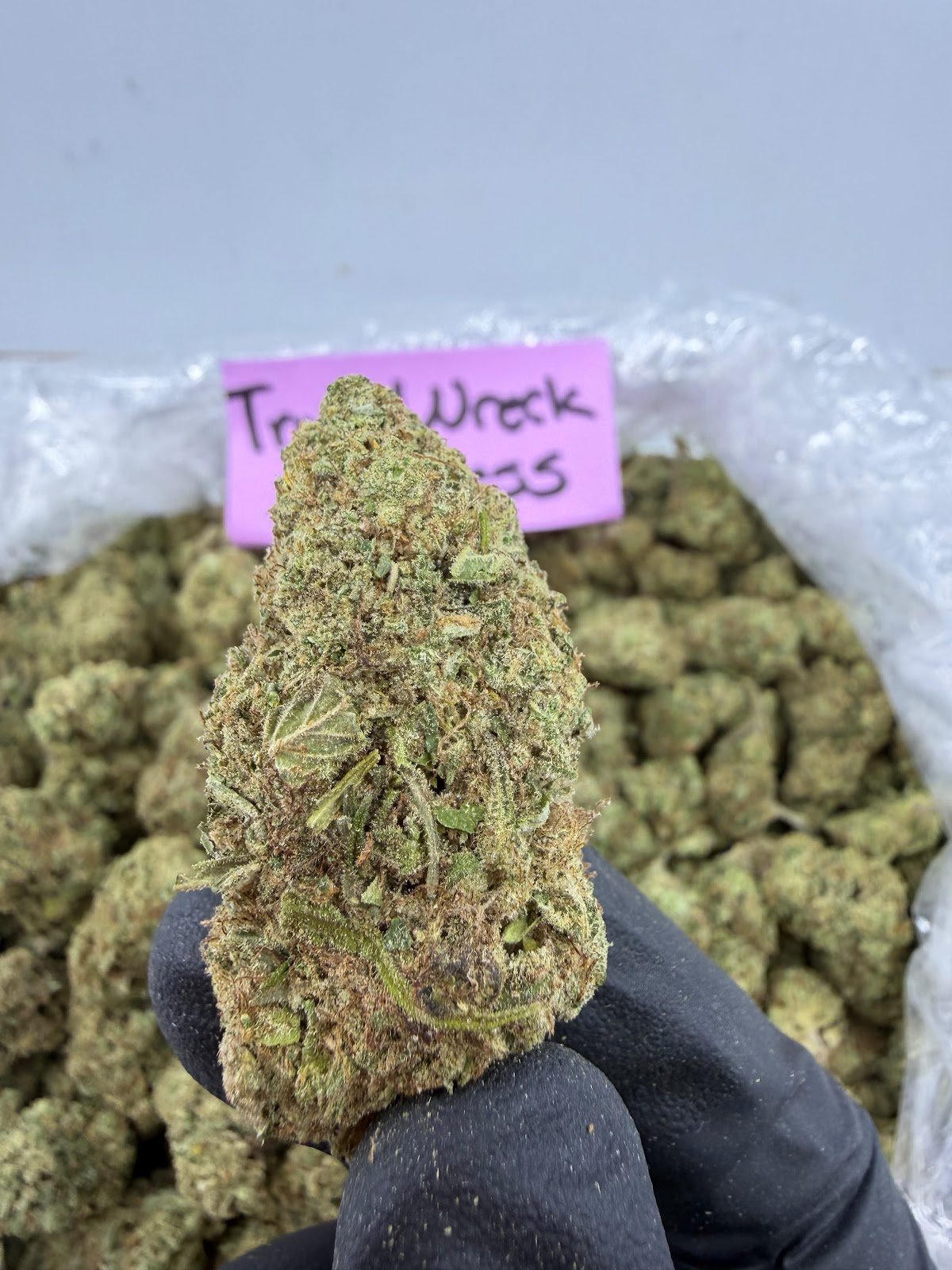 TRAIN WRECK EXPRESS