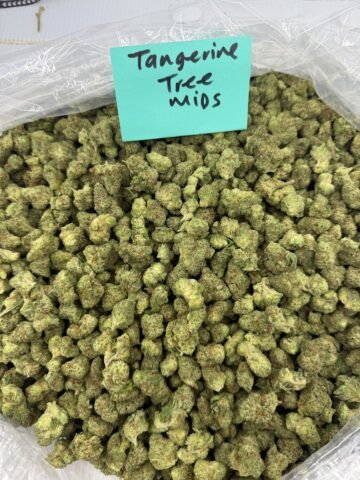 TANGERINE TREE MID