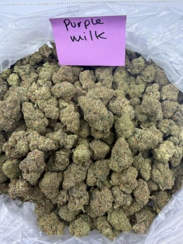 PURPLE MILK