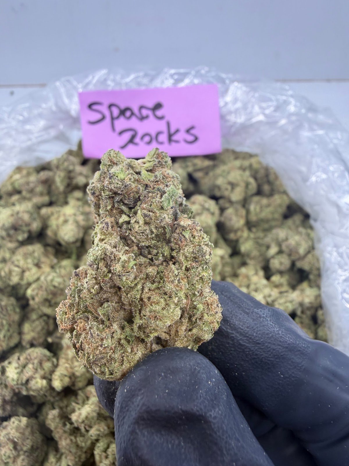SPACE ROCKS