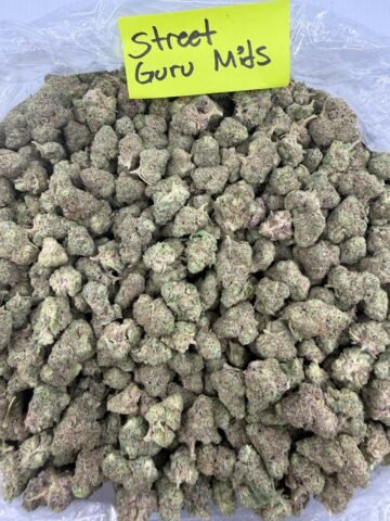 STREET GURU MID