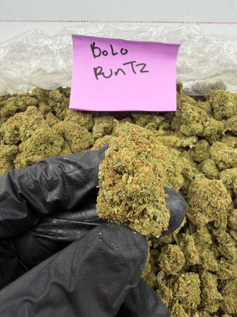 BOLO RUNTZ