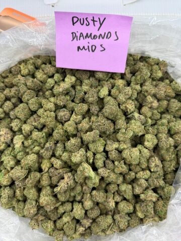 DUSTY DIAMONDS MID