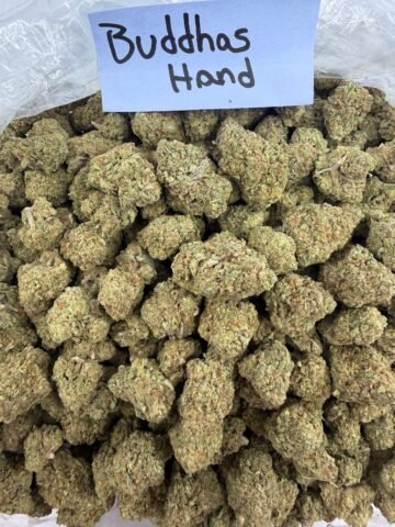 BUDDHAS HAND