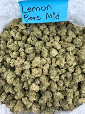 LEMON BARS MID