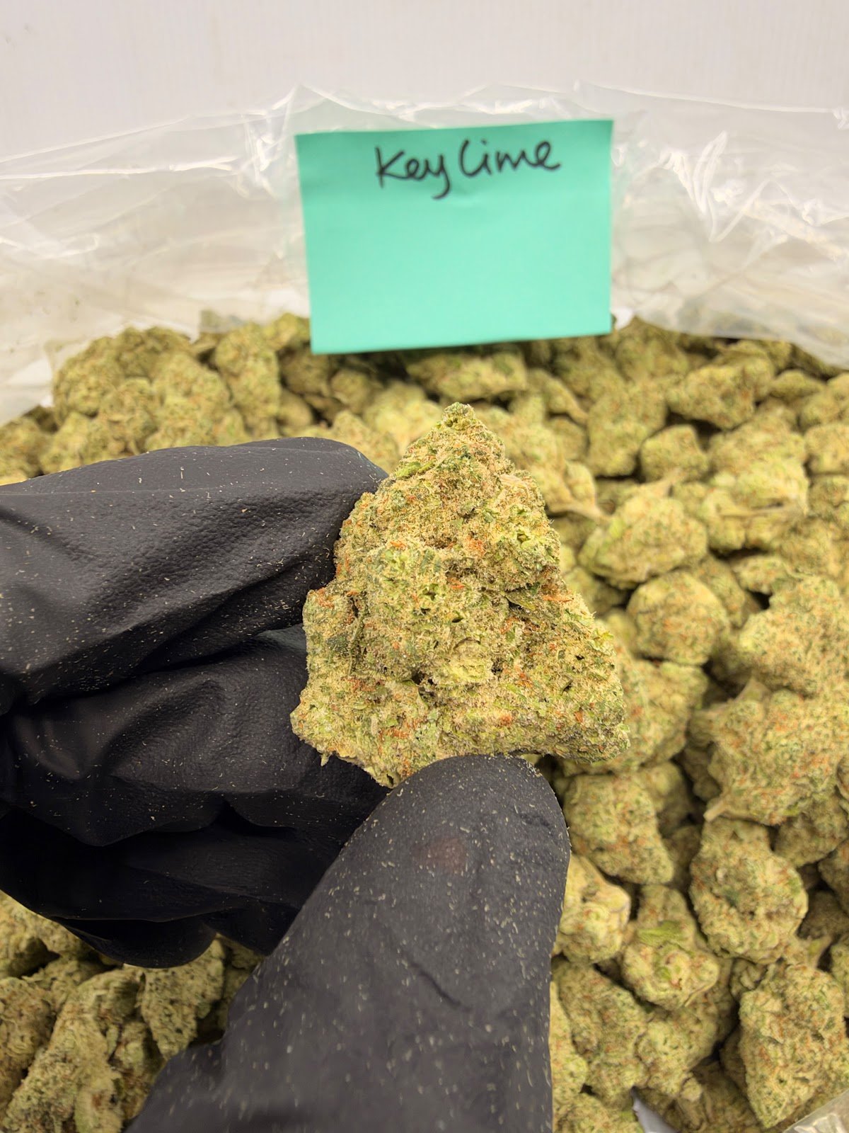 KEY LIME