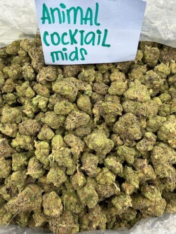 ANIMAL COCKTAIL MID