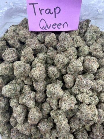 TRAP QUEEN